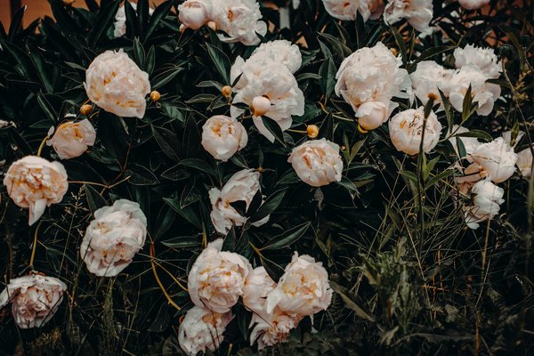 Décoration de bureau pour geek : les indispensables